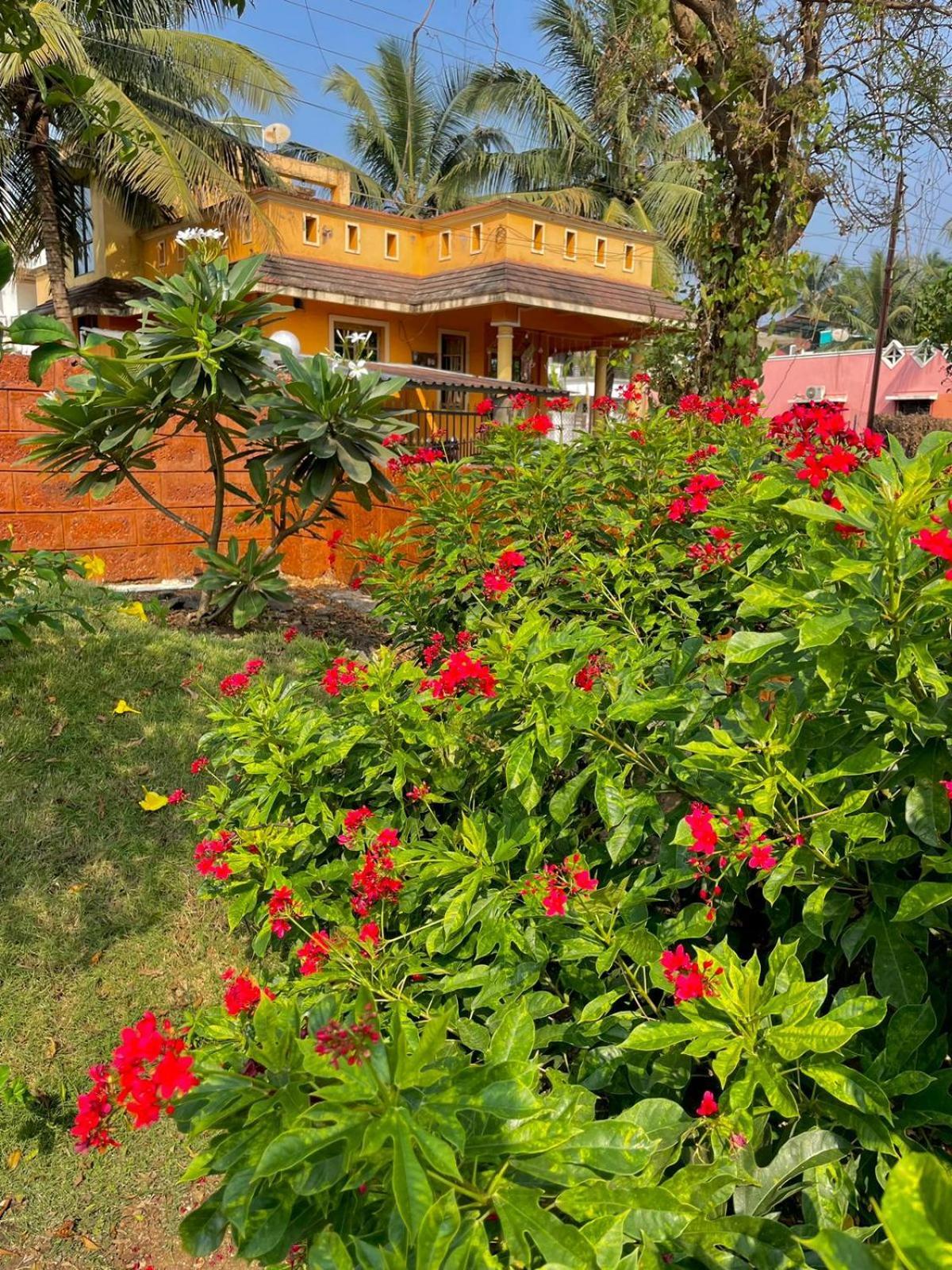 Scarlet Resort Alibag Alībāg Exterior photo